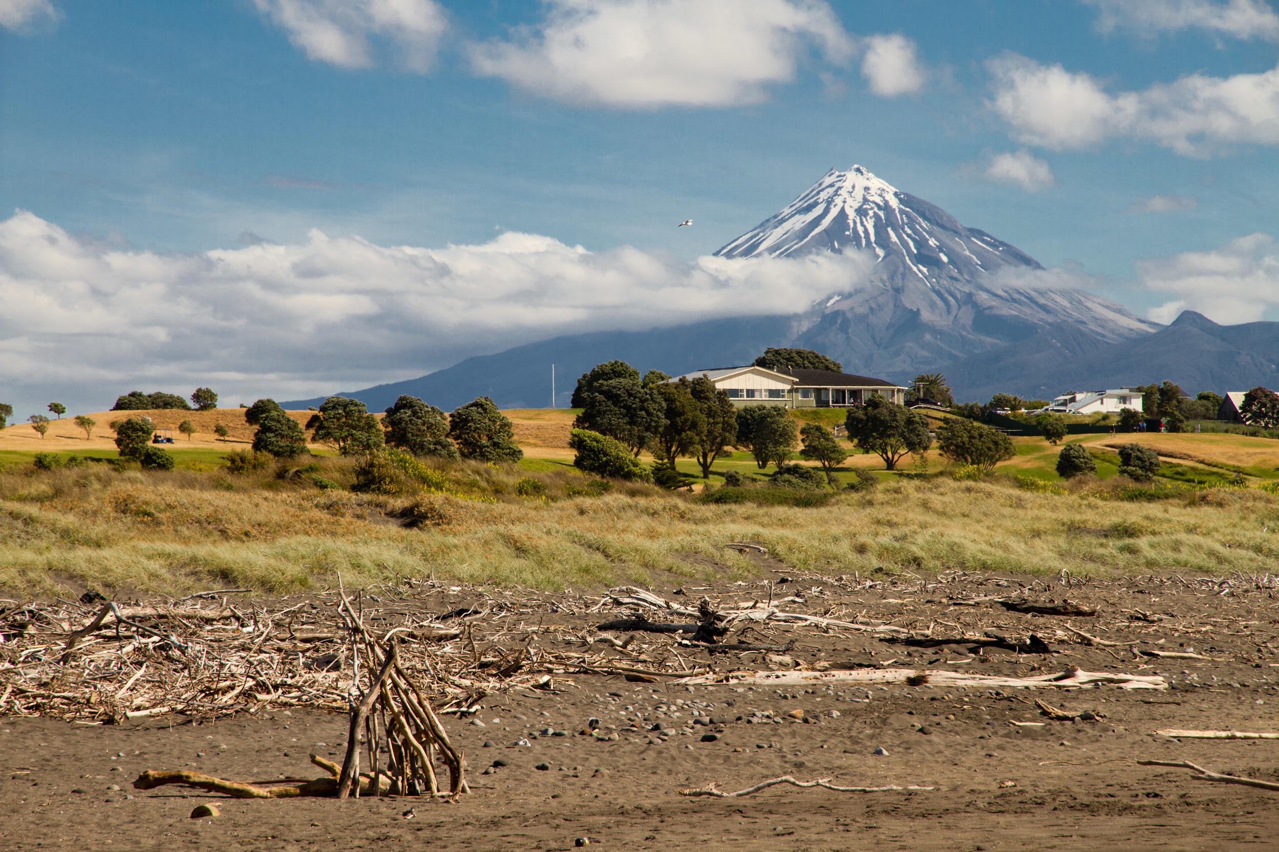 Gallery New Zealand - Image 21